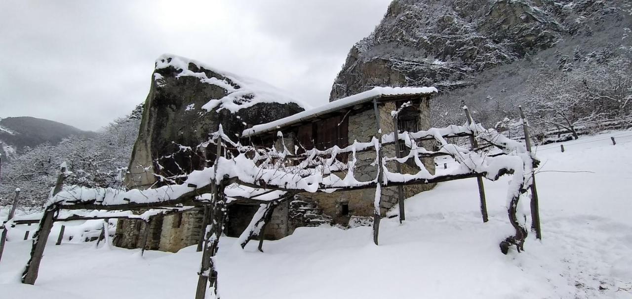Foresteria B&B Vecchiascuola Pianazzola Chiavenna Zewnętrze zdjęcie