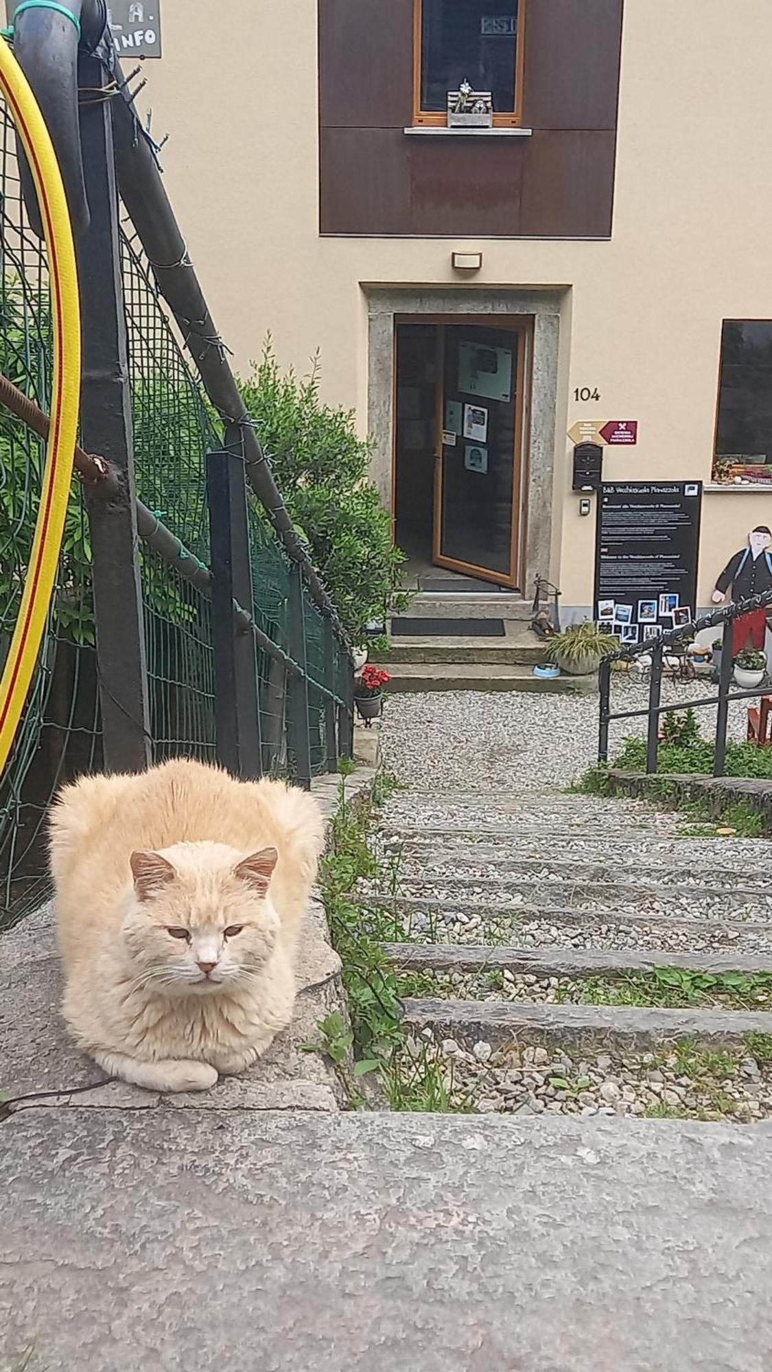 Foresteria B&B Vecchiascuola Pianazzola Chiavenna Zewnętrze zdjęcie