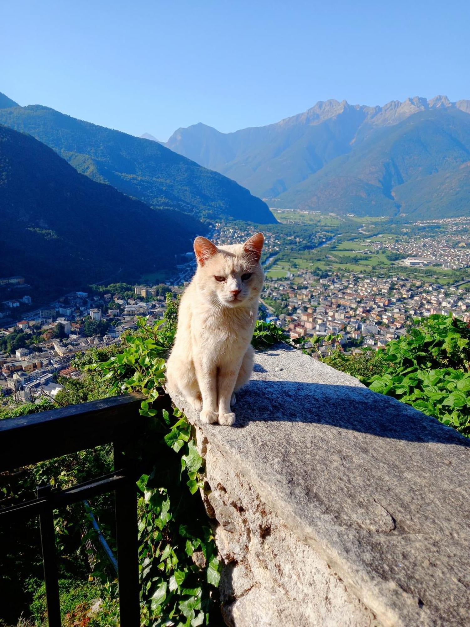 Foresteria B&B Vecchiascuola Pianazzola Chiavenna Zewnętrze zdjęcie